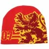 Harry Potter Reversible Beanie - Potter / Gryffindor