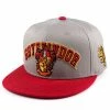 Harry Potter Snapback Cap - Gryffindor